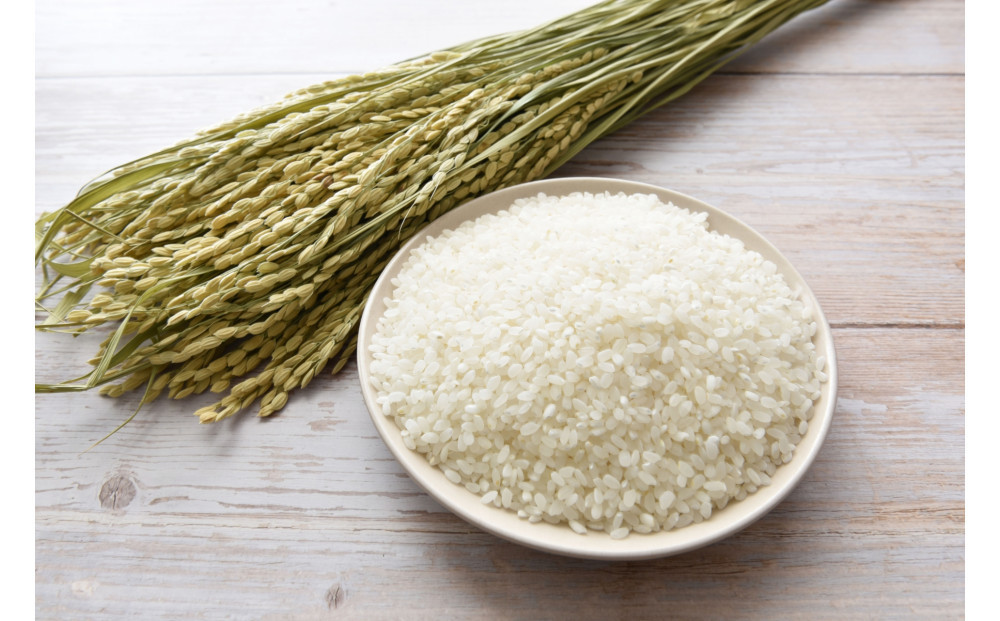 令和7年北海道産 きらら397 5kg（5kg×1袋）【旭川市産】_05643