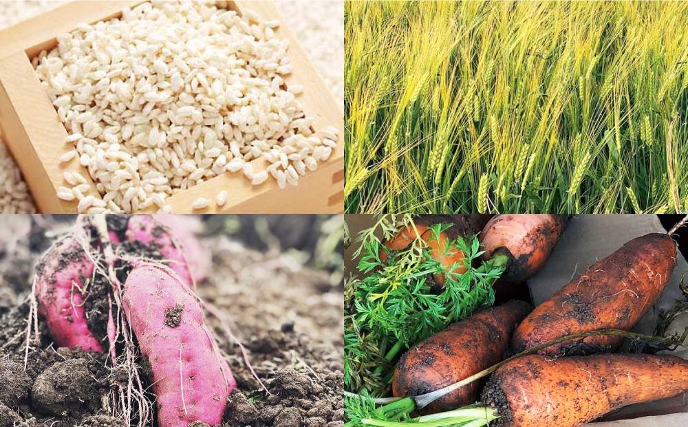 【多数メディアで紹介】愛犬の困った時こそ！北海道産食材のみ使用 無添加ドッグフード「糀とブラン」_03640