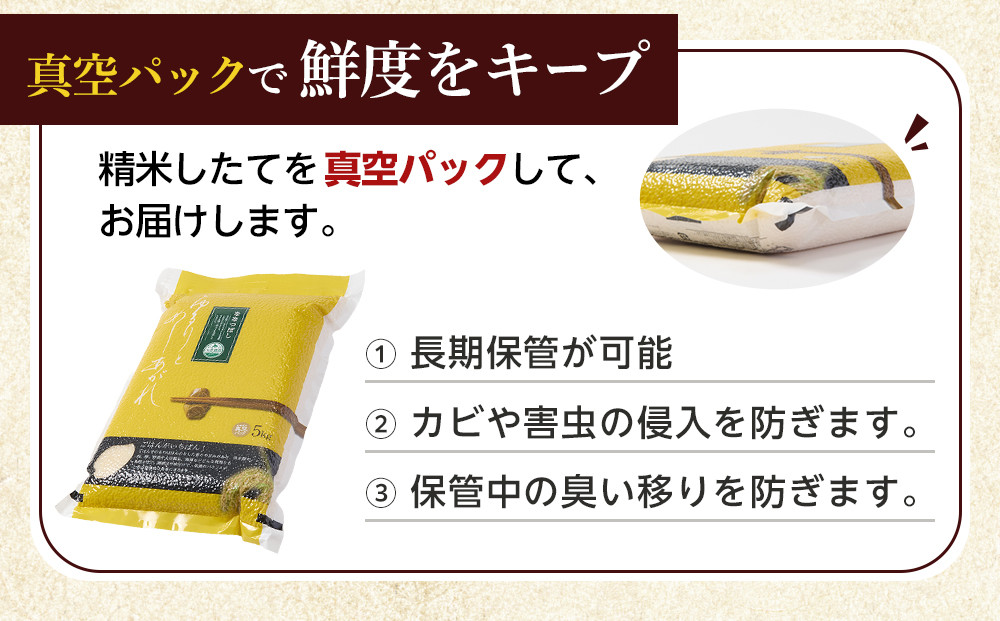 【11月発送】令和7年産　ゆめぴりか 無洗米 真空パック 5kg×1袋 5kg_05240