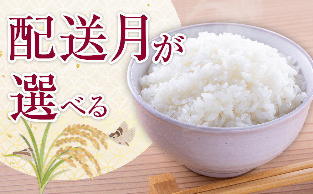 令和6年 旭川産ゆめぴりか5kg (精白米)【 白米 精米 ご飯 ごはん 米 5kg お米 ゆめぴりか 旭川産  旭川市ふるさと納税 北海道ふるさと納税 特A ふるさと納税 旭川市 北海道 】_05311