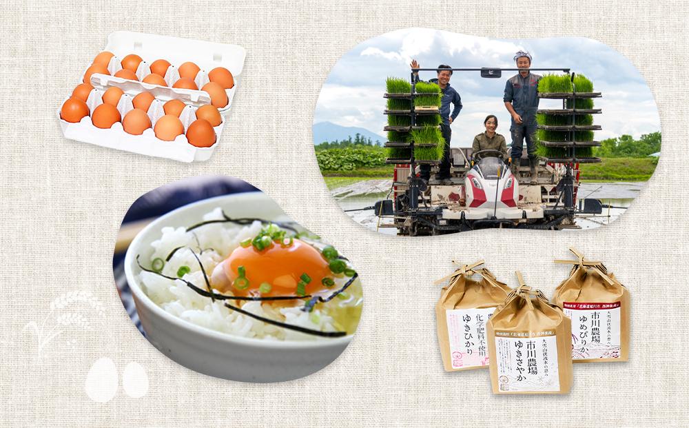 【定期便3回】あさひかわ米3種と卵の食べ比べ