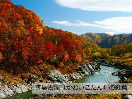 北海道旭川市ＡＮＡトラベラーズホテル割引クーポン（30,000点）