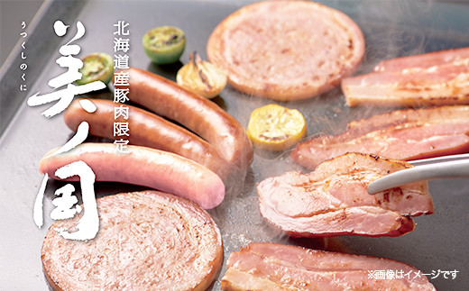 【ふるさと納税】 北海道プレミアム 美ノ国 熟成あらびきステーキ＆ソーセージ 10点セット 肉 にく 贈答 ギフト 詰め合わせ あらびきステーキ あらびき ソーセージ ウィンナー お中元 お歳暮 中元 歳暮 加工品 北海道 旭川限定 熟成 日本ハム _ 03450