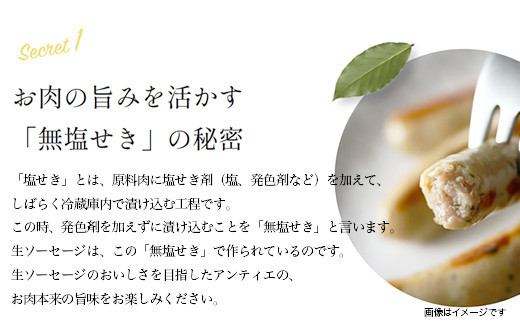 【ふるさと納税】無塩せき ウインナー あんてぃえ 山葵 100g x 5p 計500g ［食品 無塩せきウインナー ソーセージ わさび 国内製造 北海道 旭川 無塩せきソーセージ 発色剤不使用 日本ハム 小分け 定期便 パーティー お弁当 おつまみ 冷蔵 送料無料］_05366