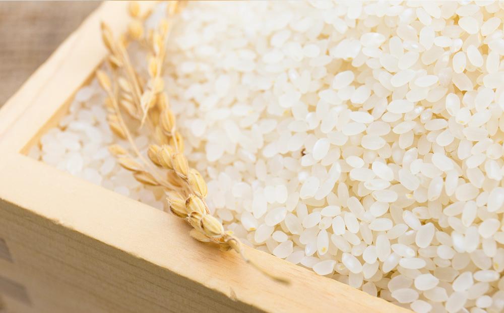 CRAFT糀あまざけ3種　いちご甘酒・ぶどう甘酒・こむぎ甘酒_03363