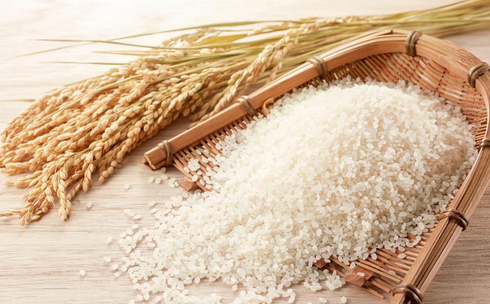 【令和7年産】特別栽培米ゆめぴりか 5kg・旭川産ななつぼし 5kg 計10kg(2025年11月中旬から発送開始予定) _01457