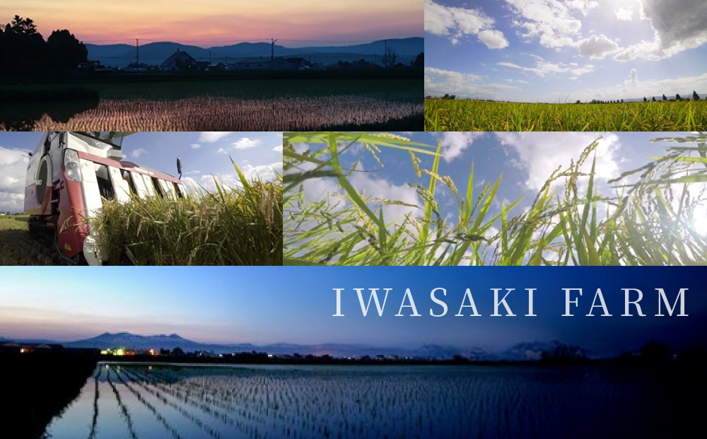 【11月配送】令和7年産　ゆめぴりか 5kg×2袋 10kg_05233