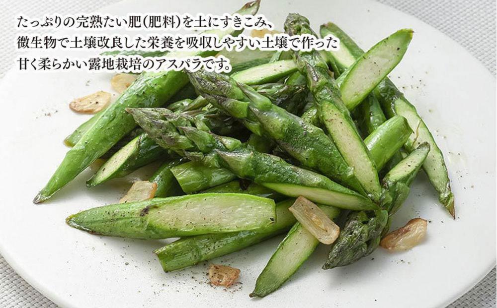 ◆2026年先行予約◆【訳あり】露地物朝採りアスパラ 1.5kg（500g×3）鮮度保持フィルム入り(5月中旬発送開始予定) 【 アスパラ アスパラガス 朝採り とれたて 野菜 旬 小分け 保存 産直 産地直送 お取り寄せ 旭川市 北海道 】_01589