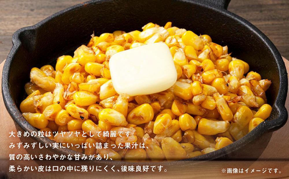 【26年発送先行予約】あさひやま動物園ライオンコーン約3.2kg(ゴールドラッシュ8本)2026年8月下旬から発送開始予定 【 とうもろこし 人気 北海道 糖度 野菜 スイートコーン 産地直送 ゴールドラッシュ コーン 旬 お取り寄せ 旭川市 北海道 】_03812