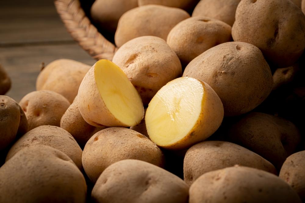 秋とれたて 新じゃが キタアカリ 8kg(2025年10月発送開始予定)北海道産じゃがいも ジャガイモ 【 じゃがいも いも イモ 芋 野菜 産地直送 旬 お取り寄せ 旭川市 北海道 】_03813