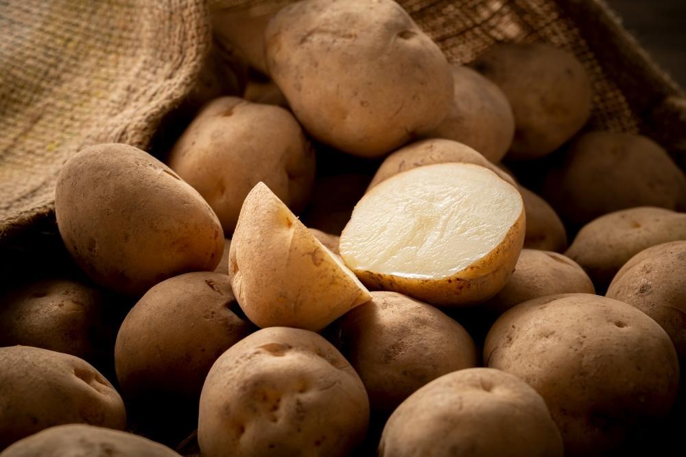 2025年10月より発送　新じゃが　男爵いも　10kg　北海道産のじゃがいも 【 じゃがいも いも イモ 芋 野菜 産地直送 旬 お取り寄せ 旭川市 北海道 】_04858