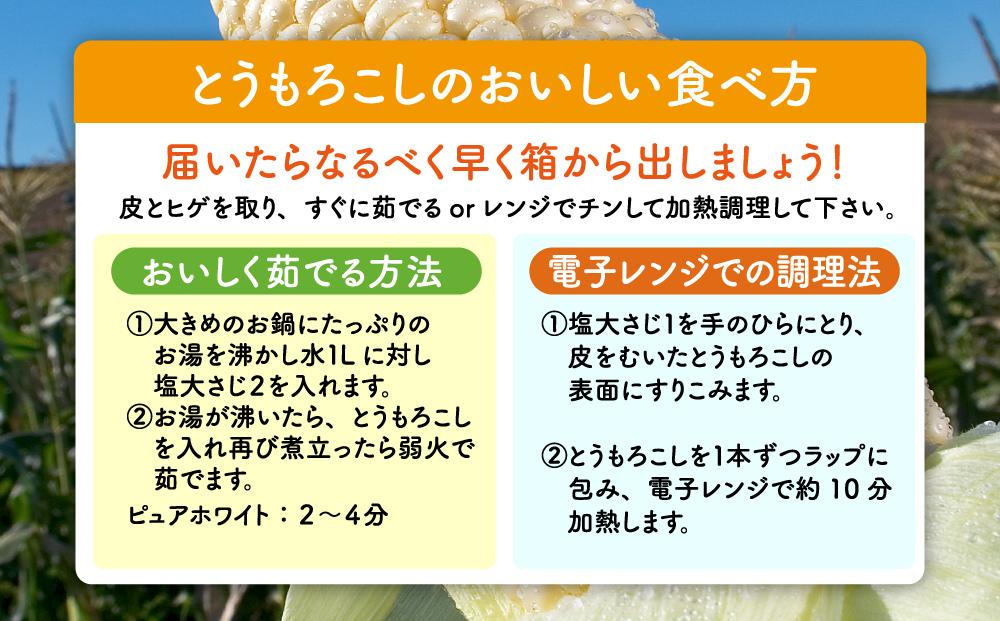 白いとうもろこしピュアホワイト 12本 3.6kg(2025年8月下旬より発送予定) 【 人気 北海道産 糖度 生 野菜 スイートコーン 産地直送 バーベキュー BBQ コーン 旬 お取り寄せ 旭川市 北海道 送料無料 】_00407