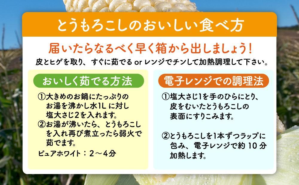【2026年先行予約】白いとうもろこしピュアホワイト 8本 2.4kg（2026年8月下旬から発送開始予定）【 人気 北海道産 糖度 生 野菜 スイートコーン 産地直送 バーベキュー BBQ コーン 旬 お取り寄せ 旭川市 北海道 送料無料 】_04559