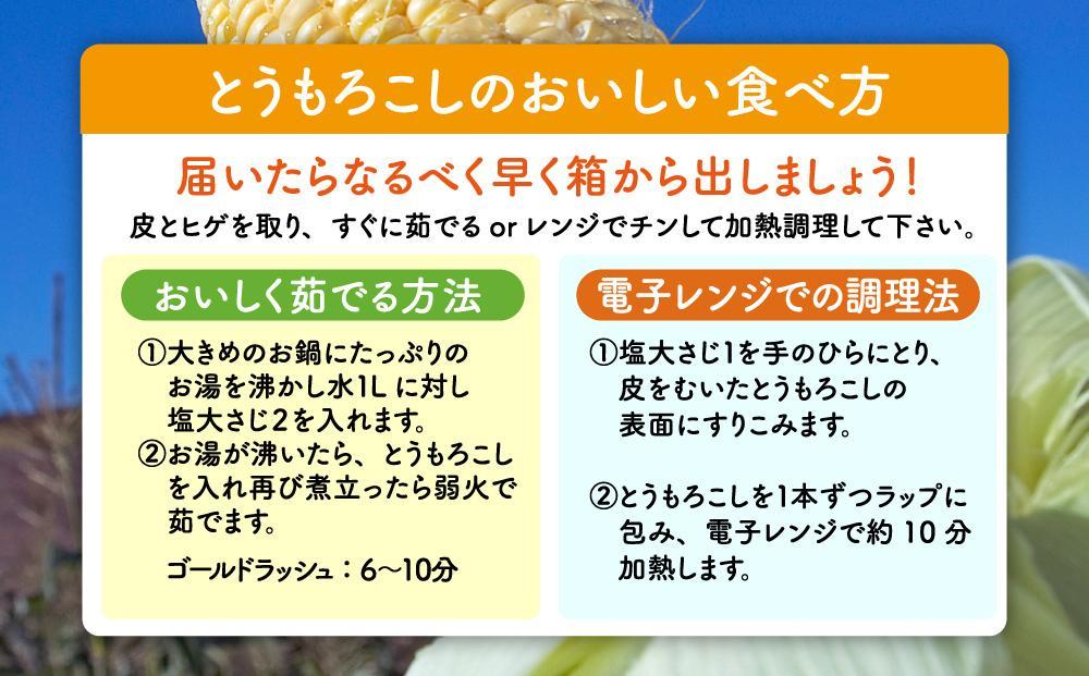【2026年先行予約】黄金色で大粒 ゴールドラッシュ 8本 3.2kg（2026年8月下旬から発送開始予定）【 人気 北海道産 糖度 生 野菜 スイートコーン 産地直送 バーベキュー BBQ コーン 旬 お取り寄せ 旭川市 北海道 】_04560