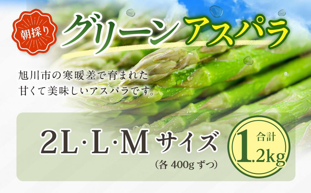【先行予約】朝採り グリーンアスパラ M～2L 1.2kg (2026年5月下旬発送開始予定) 【 アスパラ アスパラガス 朝採り とれたて 野菜 旬 小分け 保存 産直 産地直送 お取り寄せ 旭川市 北海道 】_01705