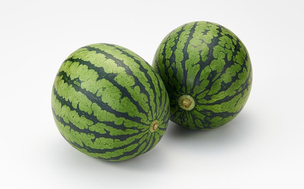 【26年発送先行予約】北海道産小玉スイカ約1.6kg×2玉 (2026年7月中旬から発送開始予定)_02063