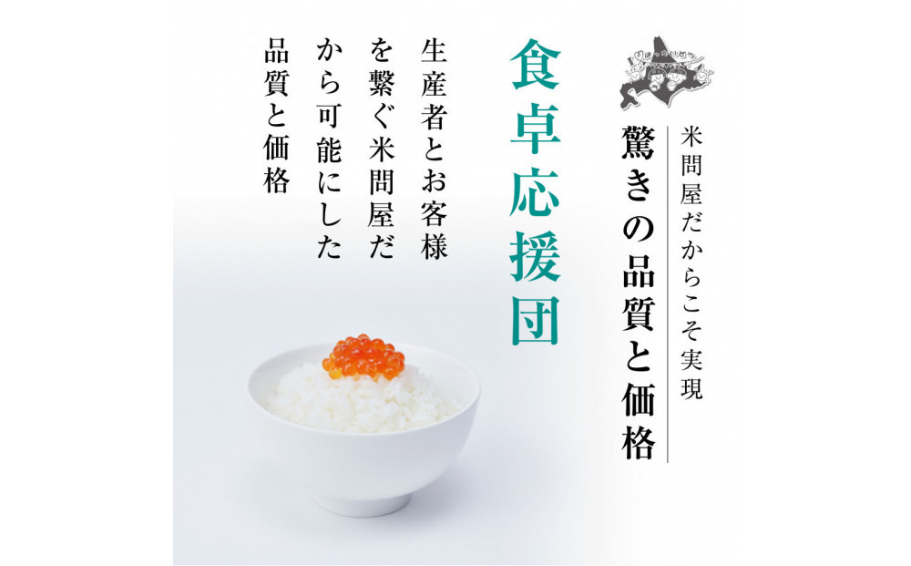 令和7年度産 北海道ブレンド米（10kg）【 白米 精米 ご飯 ごはん 米 10kg  お米 旭川市ふるさと納税 北海道ふるさと納税 】_03888