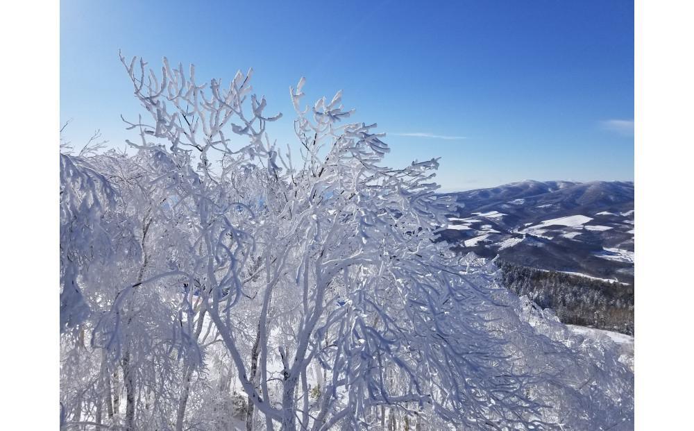 カムイスキーリンクス：小学生１日券とスキーフルセットレンタル１日券（お一人様分）・ハイエンドモデルアップグレード付き_01329