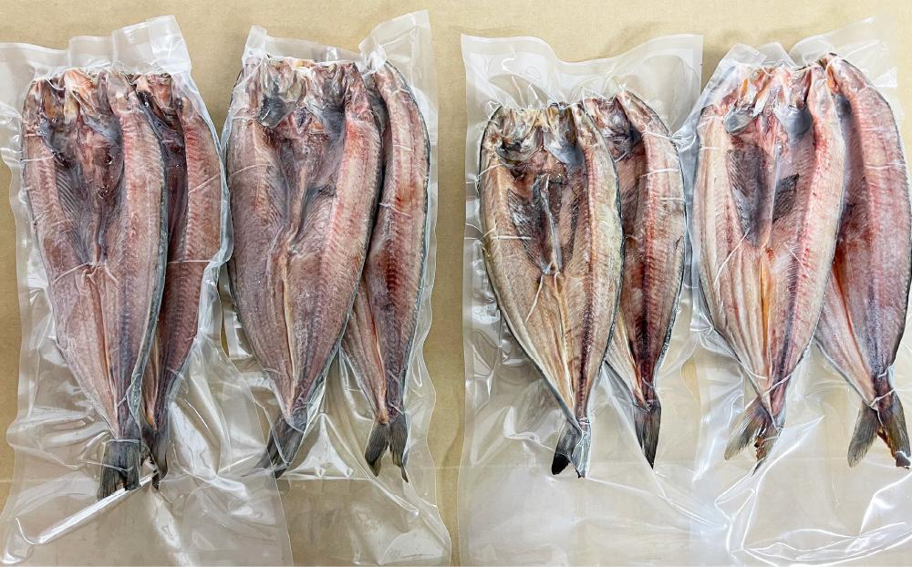 【2026年2月から発送開始】真ほっけ 開き 干し 8尾(合計約2kg) 干物_01668