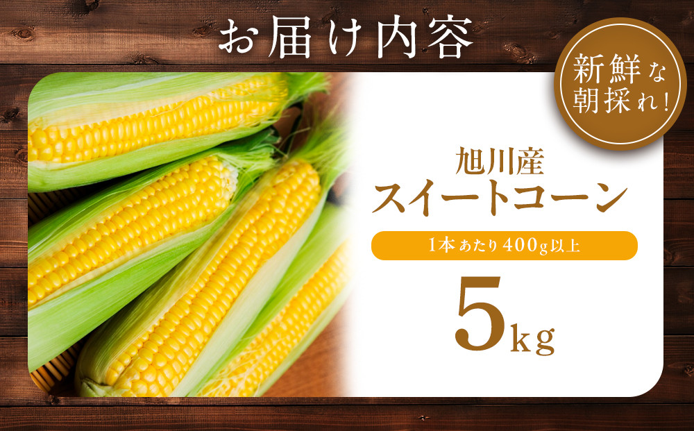 地元テレビで紹介!【先行予約】糖度18～19度! 北海道旭川産スイートコーン約5kg (2026年8月中旬発送開始予定) 【 とうもろこし コーン ゴールドラッシュ 野菜 旬 お取り寄せ 北海道 旭川市 】_05256