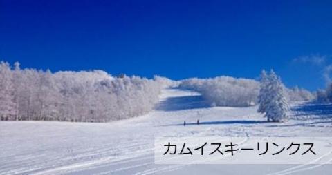 北海道旭川市ＡＮＡトラベラーズダイナミックパッケージ割引クーポン15,000点分