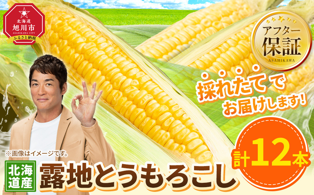 【26年先行予約】露地とうもろこし　合計12本　2026年8月中旬から発送開始予定 【とうもろこし 人気 北海道産 糖度 生 野菜 スイートコーン 産地直送 バーベキュー BBQ コーン 旬 お取り寄せ 旭川市 北海道 】_04755