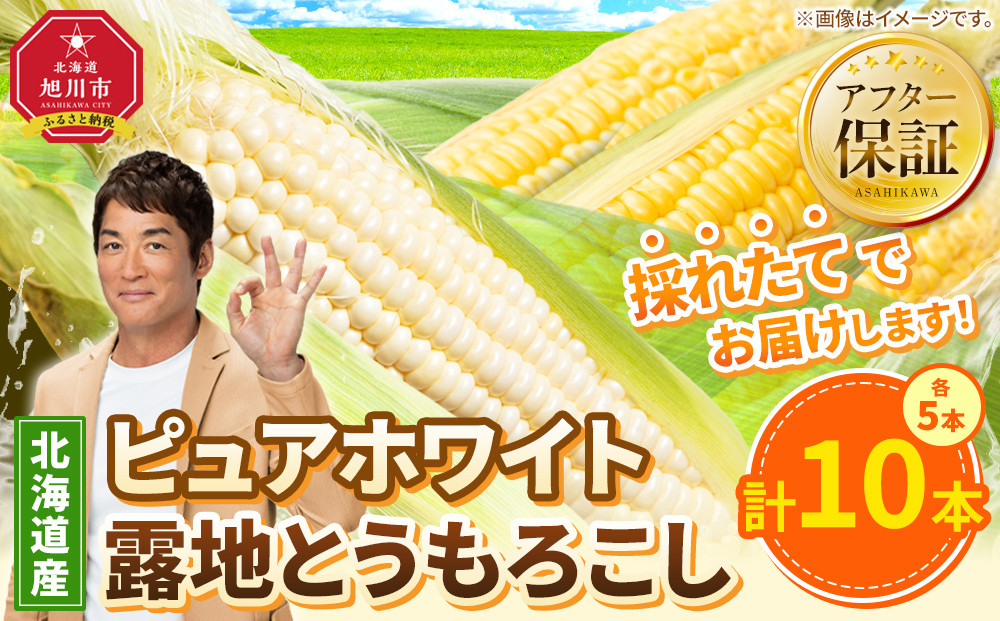 【26年先行予約】ピュアホワイト5本・露地とうもろこし5本　合計10本　2026年8月中旬から発送開始予定 【 白いとうもろこし 人気 北海道産 糖度 生 野菜 スイートコーン 産地直送 バーベキュー BBQ コーン 旬 お取り寄せ 旭川市 北海道 】_04756