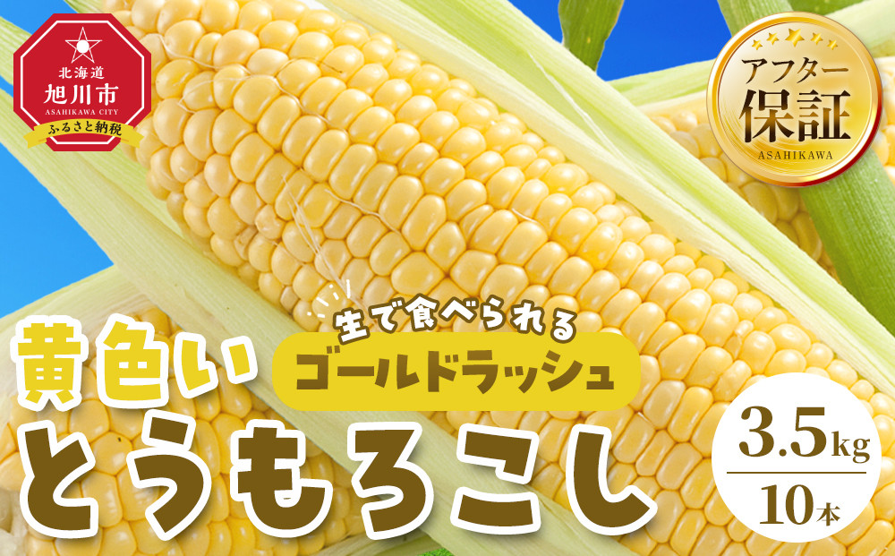 【先行予約】旭川近郊産　黄色いとうもろこし(ゴールドラッシュ) 3.5kg(10本) 2026年8月上旬から発送開始予定 【 人気 北海道産 糖度 生 野菜 スイートコーン 産地直送 バーベキュー BBQ コーン 旬 お取り寄せ 旭川市 北海道 】 _04842
