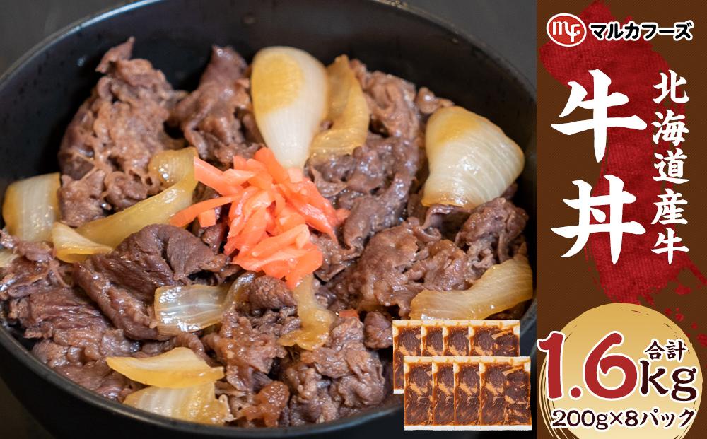 【北海道産牛】牛丼 小分け 計1.6キロ！（200g×8）_01718