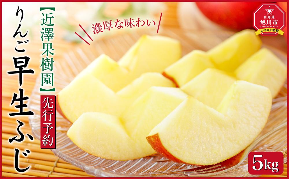 【先行予約】近澤果樹園 りんご「早生ふじ」5kg（2025年10月下旬より発送予定）【 果物 くだもの フルーツ デザート 旬 お取り寄せ 甘い 北海道産 人気 ランキング 北海道 旭川市 産地直送 送料無料 】_01178