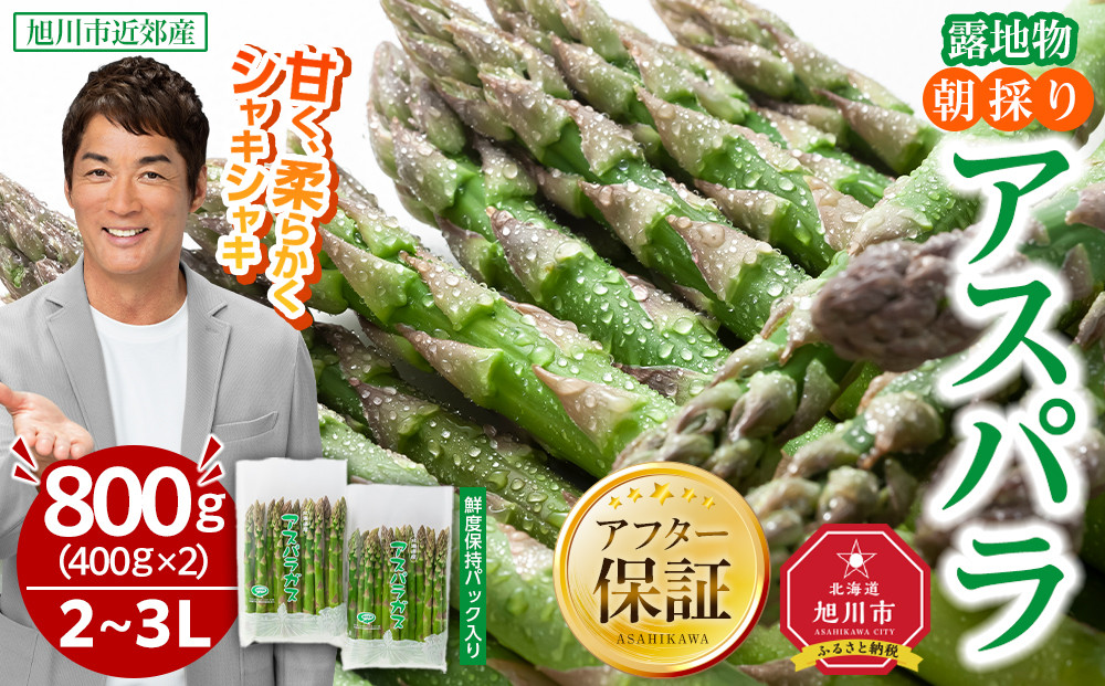 【2026年先行予約】露地物朝採りアスパラ 2L～3Lサイズ800g（400g×2）鮮度保持フィルム入り(5月中旬発送開始予定) 【 アスパラ アスパラガス 朝採り とれたて 野菜 旬 小分け 保存 産直 産地直送 お取り寄せ 旭川市 北海道 】_01593