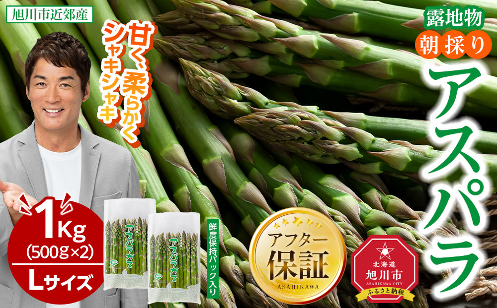 【2026年先行予約】朝採りアスパラ Lサイズ 1kg（500g×2）鮮度保持パック入り 旭川近郊産 露地物(5月中旬発送開始予定) 【 アスパラ アスパラガス 朝採り とれたて 野菜 旬 小分け 保存 産直 産地直送 お取り寄せ 旭川市 北海道 】_01590