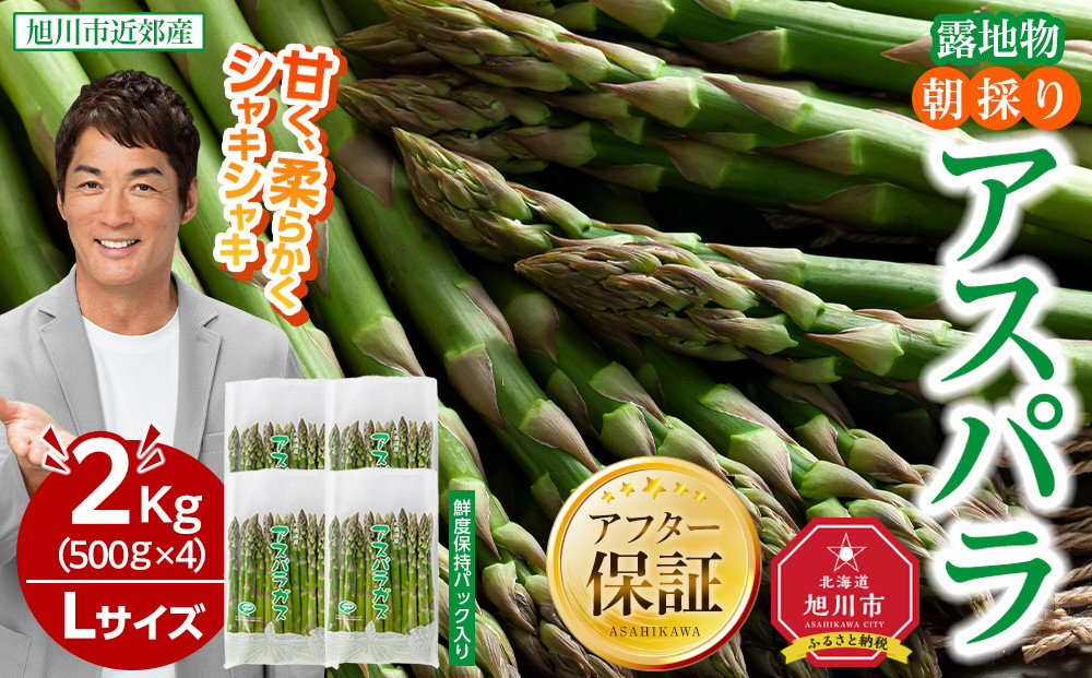 【2026年先行予約】朝採りアスパラ Lサイズ 2kg（500g×4）鮮度保持パック入り 旭川近郊産 露地物(5月中旬発送開始予定) 【 アスパラ アスパラガス 朝採り とれたて 野菜 旬 小分け 保存 産直 産地直送 お取り寄せ 旭川市 北海道 送料無料 】_01591