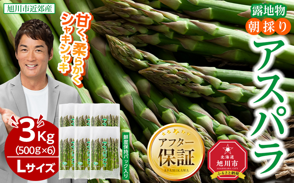 【2026年先行予約】朝採りアスパラ Lサイズ 3kg（500g×6）鮮度保持パック入り 旭川近郊産 露地物(5月中旬発送開始予定) 【 アスパラ アスパラガス 朝採り とれたて 野菜 旬 小分け 保存 産直 産地直送 お取り寄せ 旭川市 北海道 】_01592