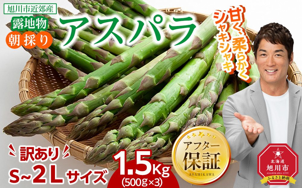 ◆2026年先行予約◆【訳あり】露地物朝採りアスパラ 1.5kg（500g×3）鮮度保持フィルム入り(5月中旬発送開始予定) 【 アスパラ アスパラガス 朝採り とれたて 野菜 旬 小分け 保存 産直 産地直送 お取り寄せ 旭川市 北海道 】_01589