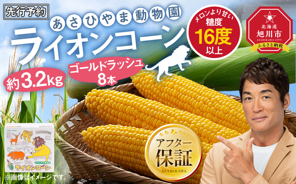 【26年発送先行予約】あさひやま動物園ライオンコーン約3.2kg(ゴールドラッシュ8本)2026年8月下旬から発送開始予定 【 とうもろこし 人気 北海道 糖度 野菜 スイートコーン 産地直送 ゴールドラッシュ コーン 旬 お取り寄せ 旭川市 北海道 】_03812