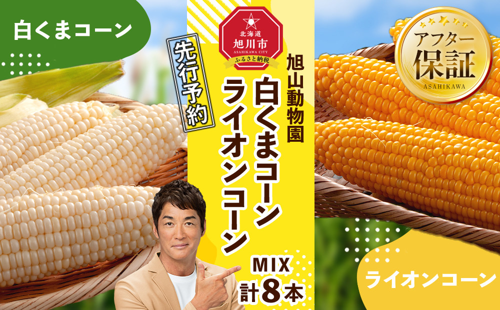 【26年発送先行予約】旭山動物園　白くまコーン4本　ライオンコーン4本　MIX　合計8本（2026年8月中旬から発送開始予定）【 とうもろこし 人気 北海道 糖度 野菜 白いとうもろこし 白いスイートコーン 産地直送 ホワイトレディ ゴールドラッシュ コーン 玉蜀黍 旬 お取り寄せ 旭川市 北海道 】_03815