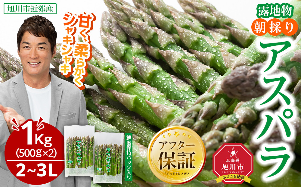 【2026年先行予約】露地物朝採りアスパラ　鮮度保持フィルム入り　2～3L　500g×2　合計1kg(5月中旬発送開始予定) 【 アスパラ アスパラガス 朝採り とれたて 野菜 旬 小分け 保存 産直 産地直送 お取り寄せ 旭川市 北海道 】_03817