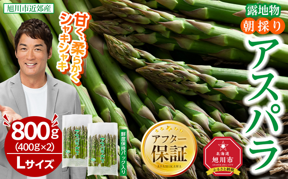 【2026年先行予約】露地物朝採りアスパラ　鮮度保持フィルム入り　Lサイズ　400g×2　合計800g(5月中旬発送開始予定) 【 アスパラ アスパラガス 朝採り とれたて 野菜 旬 小分け 保存 産直 産地直送 お取り寄せ 旭川市 北海道 】_03818