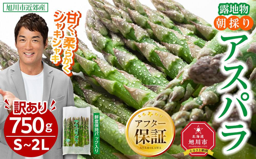 ◆2026年先行予約◆【訳あり】露地物朝採りアスパラ 750g×1 　鮮度保持フィルム入り(5月中旬発送開始予定) 【 アスパラ アスパラガス 朝採り とれたて 野菜 旬 小分け 保存 産直 産地直送 お取り寄せ 旭川市 北海道 】_04751