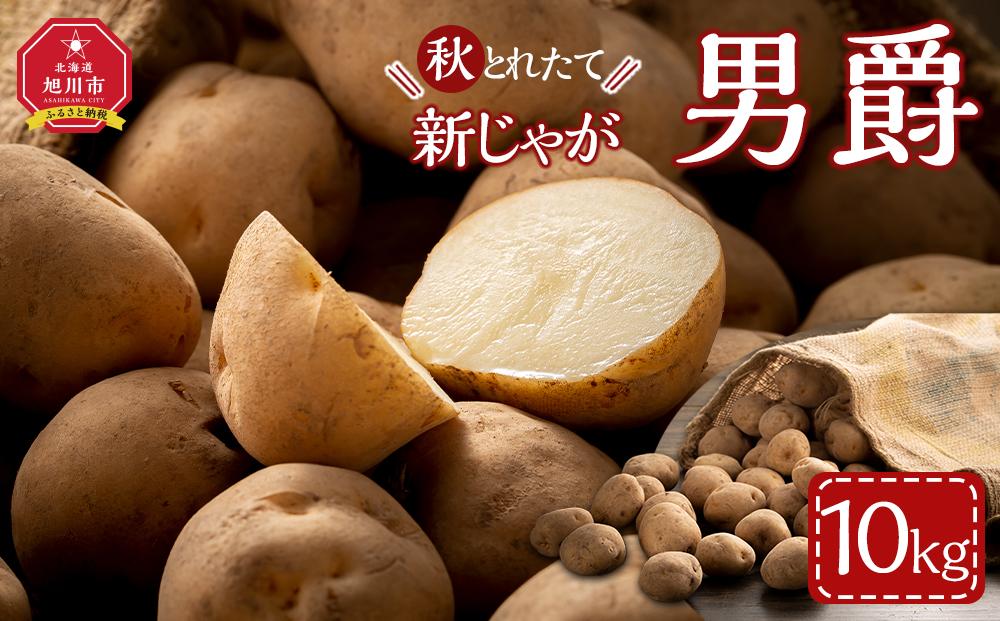 2025年10月より発送　新じゃが　男爵いも　10kg　北海道産のじゃがいも 【 じゃがいも いも イモ 芋 野菜 産地直送 旬 お取り寄せ 旭川市 北海道 】_04858