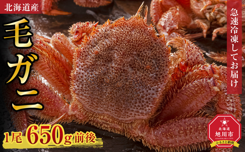 北海道産毛ガニ1尾 650g前後_05581
