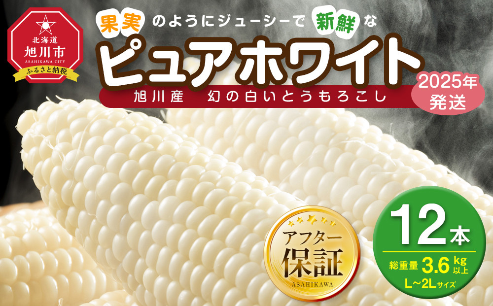 白いとうもろこしピュアホワイト 12本 3.6kg(2025年8月下旬より発送予定) 【 人気 北海道産 糖度 生 野菜 スイートコーン 産地直送 バーベキュー BBQ コーン 旬 お取り寄せ 旭川市 北海道 送料無料 】_00407