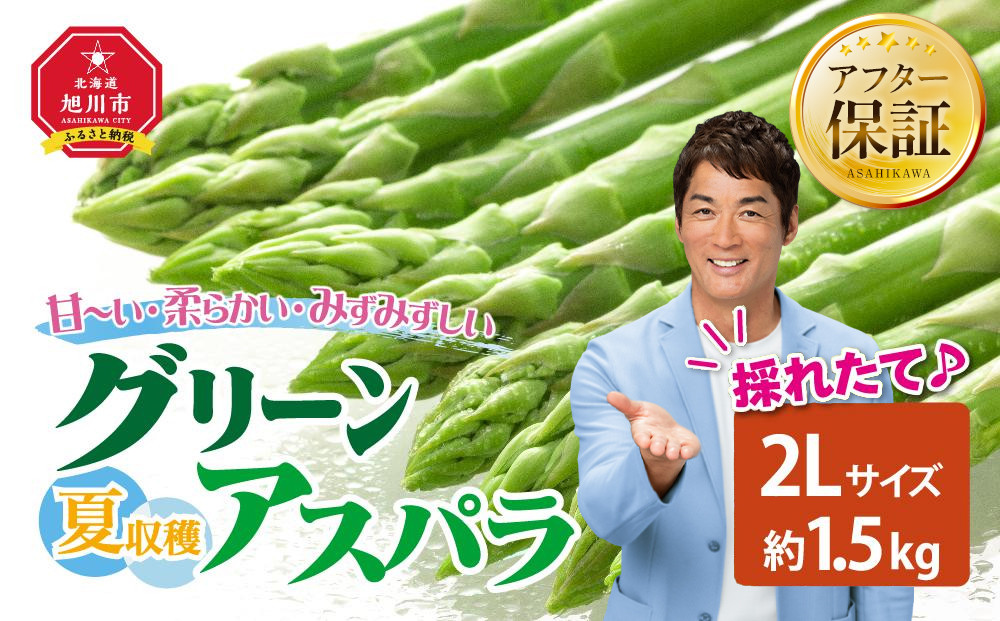 【2026年先行予約】夏収穫グリーンアスパラ 2Lサイズ 1.5kg（2026年7月下旬から発送開始予定）【 アスパラ アスパラガス 朝採り とれたて 野菜 旬 小分け 保存 産直 産地直送 お取り寄せ 旭川市 北海道 】_00415