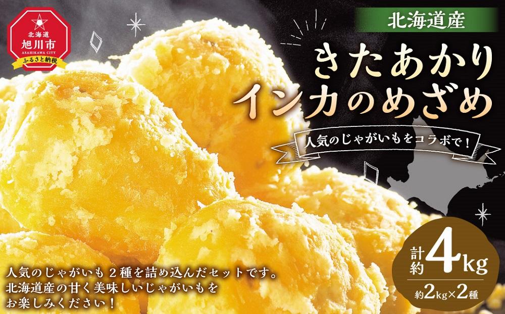 じゃがいもをコラボで!　きたあかり×インカのめざめ (各2kg) 2025年11月下旬頃発送開始予定 【 インカの目覚め じゃがいも ジャガイモ いも 芋 ポテト 旭川 北海道 野菜 】_03649