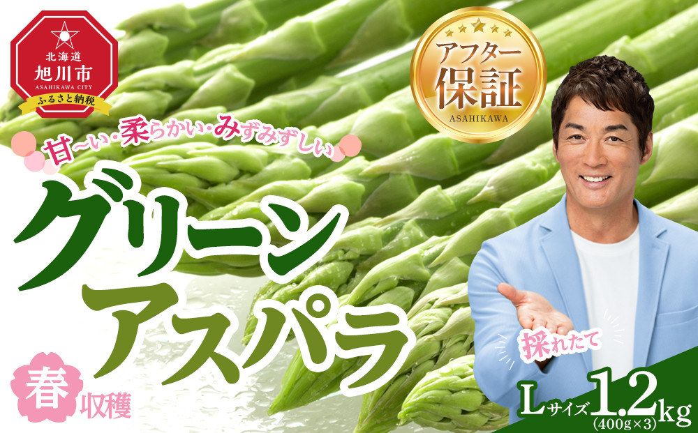 【先行予約】春収穫グリーンアスパラLサイズ（400g×3）約1.2kg（2026年6月上旬から発送開始予定）【 アスパラ アスパラガス 朝採り とれたて 野菜 旬 小分け 保存 産直 産地直送 お取り寄せ 旭川市 北海道 】_05534