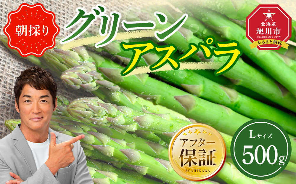 【先行予約】朝採り グリーンアスパラ L 500g (2026年5月下旬発送開始) 【 アスパラ アスパラガス グリーンアスパラ 【先行予約】朝採り 直送 産地直送 旬 春 北海道 とれたて お取り寄せ 冷蔵配送 冷蔵 旭川市 】 _04657