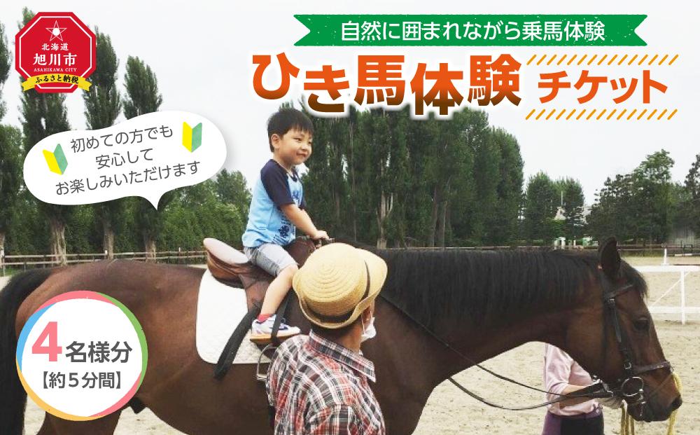 ひき馬体験　4名様分_01540