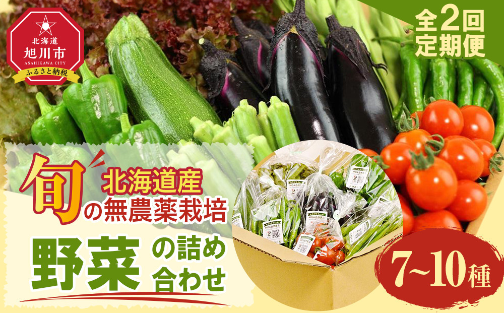 【2026年先行予約】7・8月　計2回定期便　北海道産旬の無農薬栽培　野菜の詰め合わせ7～10種類 【 サニーレタス 水菜 チンゲンサイ さやえんどう スナップエンドウ さやいんげん ささぎ豆 春大根 ズッキーニ なす トマト きゅうり ししとう なんばん オクラ カボチャ じゃがいも にんじん 北海道産 無農薬栽培 野菜セット 季節の野菜 新鮮 お取り寄せ 野菜ボックス 安全 安心 野菜直送 人気 旭川市 】_04700