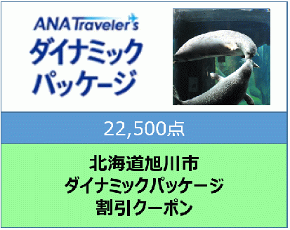 北海道旭川市ＡＮＡトラベラーズダイナミックパッケージ割引クーポン22,500点分